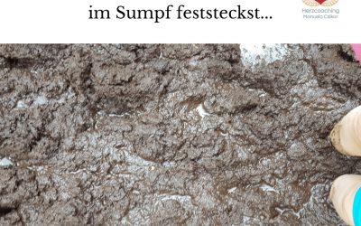 Stillstand – 11 Regeln, wie Du noch besser im Sumpf steckenbleibst